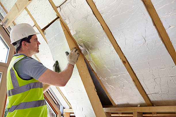 Best Home Insulation Services  in Bangor, MI